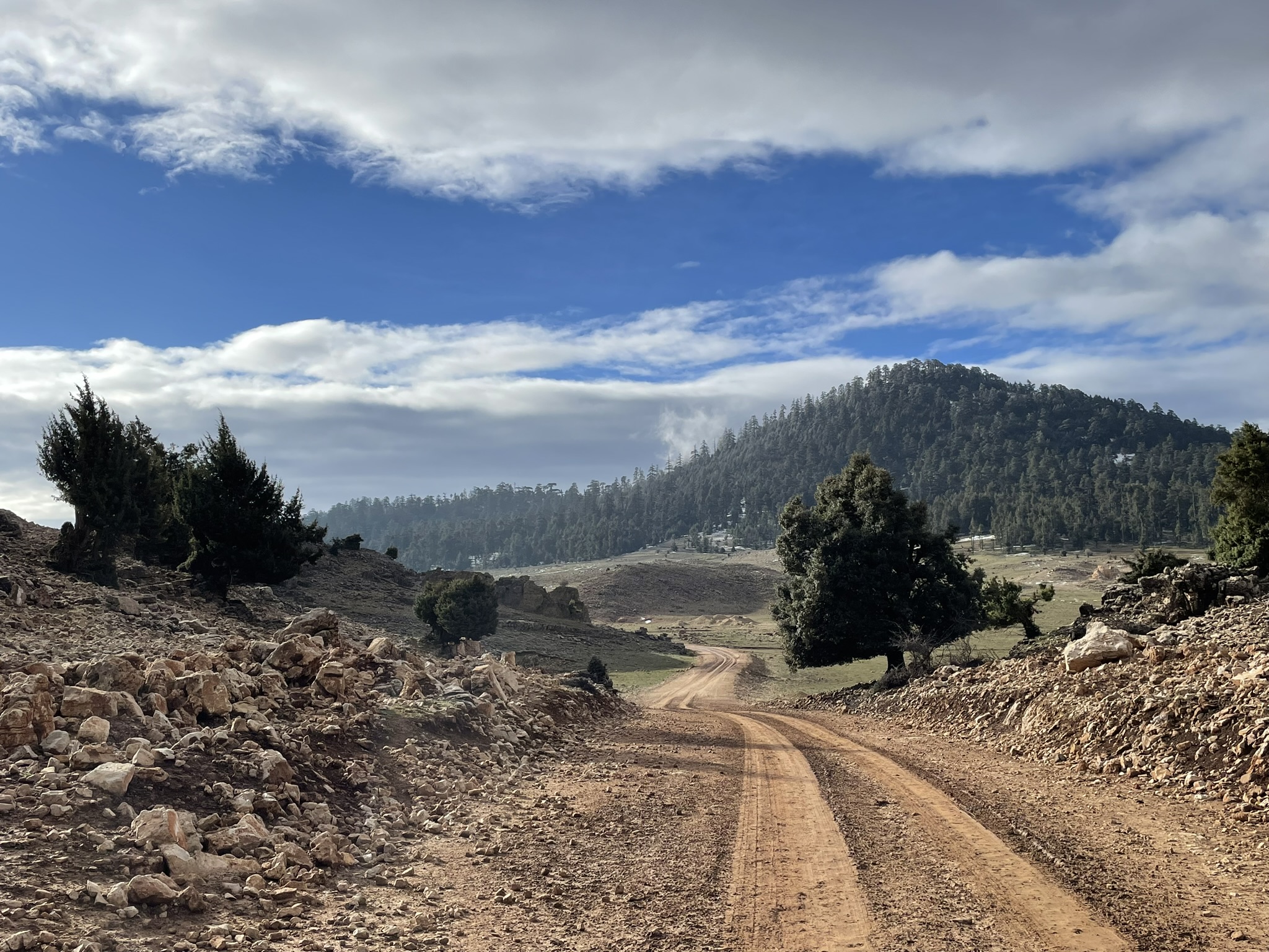 Weite Berglandschaft mit einem unbefestigten Weg und bewaldeten Hängen